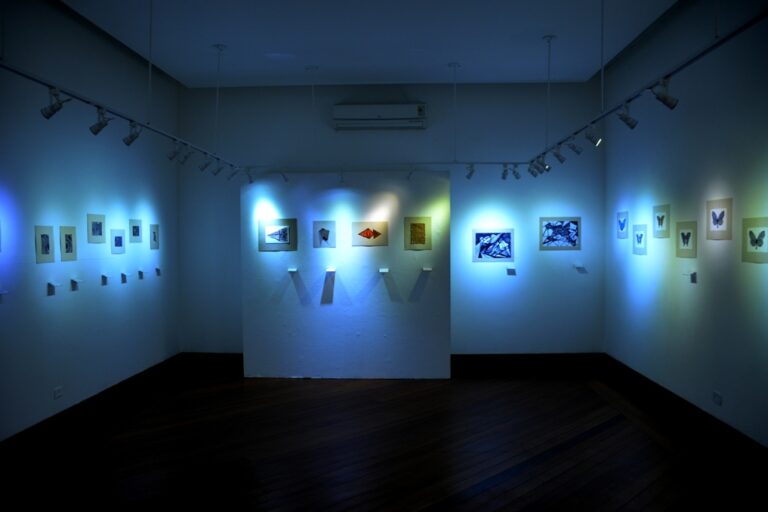 Fotos: JC Curtis/Fundacc